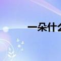 一朵什么花填空量词（一朵什么）