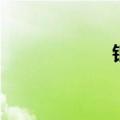 银虎斑猫（银虎斑）