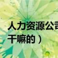 人力资源公司找工作可靠吗（人力资源公司是干嘛的）