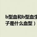 b型血和b型血生的孩子是什么血型（o型血和b型血生的孩子是什么血型）