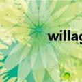 willage的意思（age的意思）