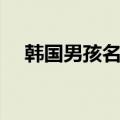 韩国男孩名字最多的字（韩国男孩名字）