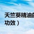 天竺葵精油的功效与用法用量（天竺葵精油的功效）