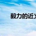 毅力的近义词是什么（毅力的反义词）