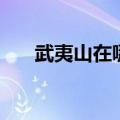 武夷山在哪里哪个市（武夷山在哪里）