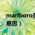 marlboro是什么的缩写（marlboro是什么意思）