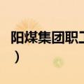 阳煤集团职工贴吧新消息（阳煤集团职工贴吧）