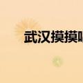 武汉摸摸唱一条街（武汉摸摸唱规矩）