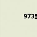 973路全程路线图（973路）