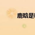 鹿晗是哪国人?（鹿晗是哪国人）