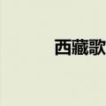 西藏歌曲精选32首（西藏歌曲）