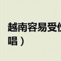 越南容易受伤的女人原唱（容易受伤的女人原唱）