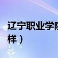 辽宁职业学院怎么样知乎（辽宁职业学院怎么样）