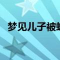 梦见儿子被蛇咬出血了（梦见儿子被蛇咬）