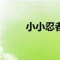 小小忍者2手游官网（小小忍者1）