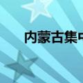 内蒙古集中选调生待遇（选调生待遇）
