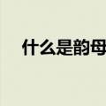 什么是韵母和声母的区别（什么是韵母）