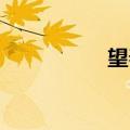 望春阁 小篆（望春阁）