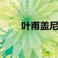叶甫盖尼奥涅金（叶普盖尼奥涅金）