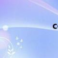 conjecture（conj）