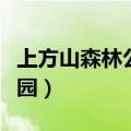 上方山森林公园有什么好玩的（上方山森林公园）
