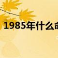 1985年什么命金木水火土（1985年什么命）