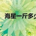 海星一斤多少个（海星价格是多少钱一斤）