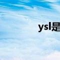 ysl是什么意思（ysl是什么）