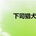 下司猎犬的优点和缺点（下司猎犬）