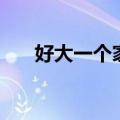 好大一个家百度百科（好大的一个家）