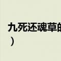 九死还魂草的功效与作用（九死还魂草的功效）