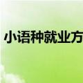 小语种就业方向与前景（汉语专业就业方向）