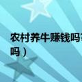 农村养牛赚钱吗?养牛的利润和成本是多少?（农村养牛赚钱吗）