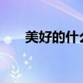 美好的什么作文450字（美好的什么）