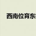 西南位育东校区北校区 区别（西南位育）
