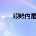 眼睑内是哪里图片（眼睑内是哪里）
