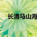 长清马山海拔高度是多少米（长清马山）