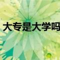 大专是大学吗被国家认可吗（大专是大学吗）