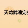 天龙武魂完美835算小完美吗（天龙武魂）