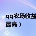 qq农场收益最好的种子（qq农场种什么经验最高）