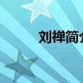 刘禅简介资料100字（刘禅简介）