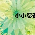 小小忍者2技能搭配（小小忍者2）