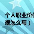 个人职业价值观怎么写200字（个人职业价值观怎么写）