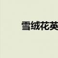 雪绒花英文版原唱（雪绒花英文版）