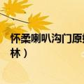 怀柔喇叭沟门原始森林公园秋游文章（怀柔喇叭沟门原始森林）