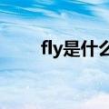 fly是什么意思（climb是什么意思）