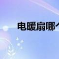 电暖扇哪个牌子最好（电暖扇费电吗）