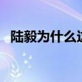 陆毅为什么这么帅（为什么说陆毅人品差）
