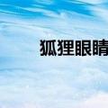 狐狸眼睛的女人怎么样（狐狸眼睛）