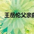 王岳伦父亲的照片大全高清（王岳伦父亲）